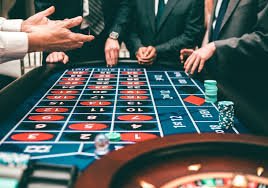 Live dealer dealing cards at toto sdy Caribbean Stud Poker table
